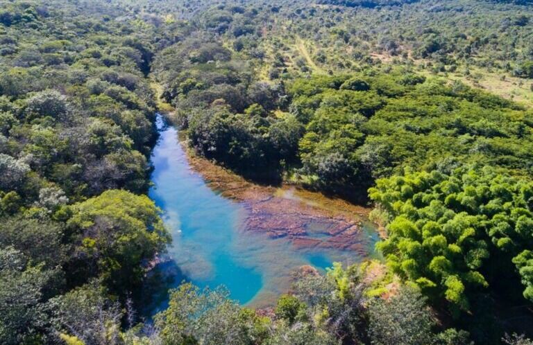 Programa Juntos Pelo Araguaia vai recuperar 50 hectares de áreas degradadas