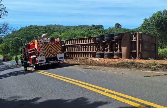 Motorista morre após caminhão com gado tombar entre Ipameri e Caldas Novas