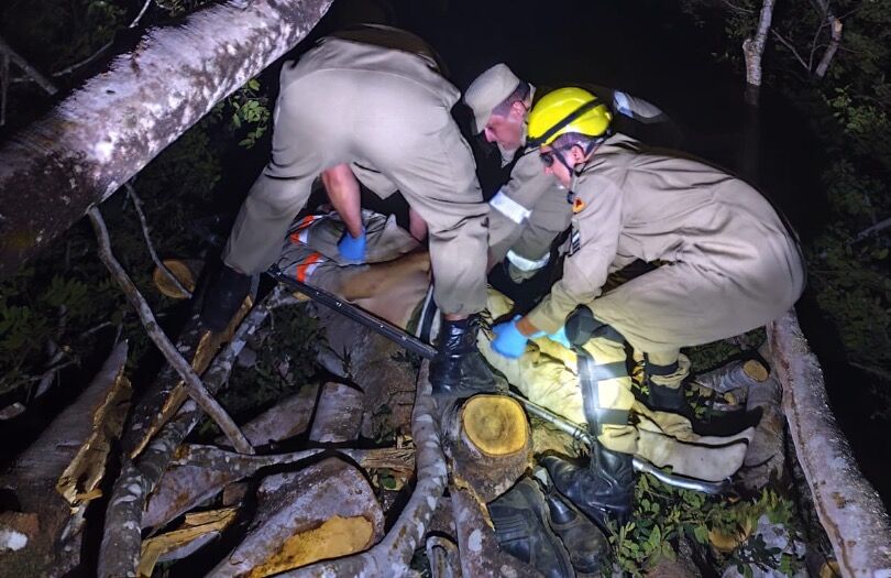 Trabalhador morre após ser atingido por tronco de árvore na zona rural de Catalão