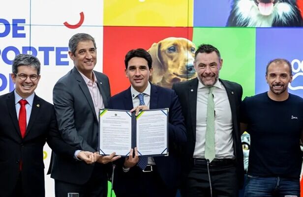 Governo anuncia novas regras para transporte aéreo de pets