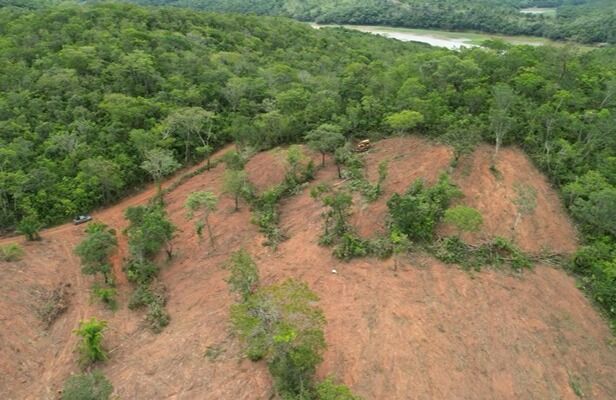 Fiscalização ambiental flagra desmatamento em Ipameri e Caldas Novas