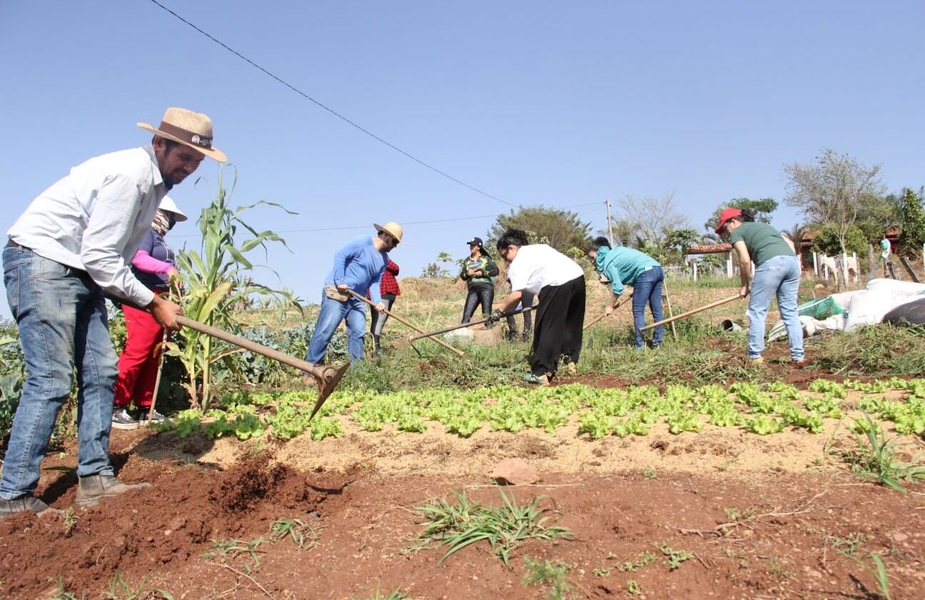 Exposição destaca projeto Territórios da Agricultura em Catalão