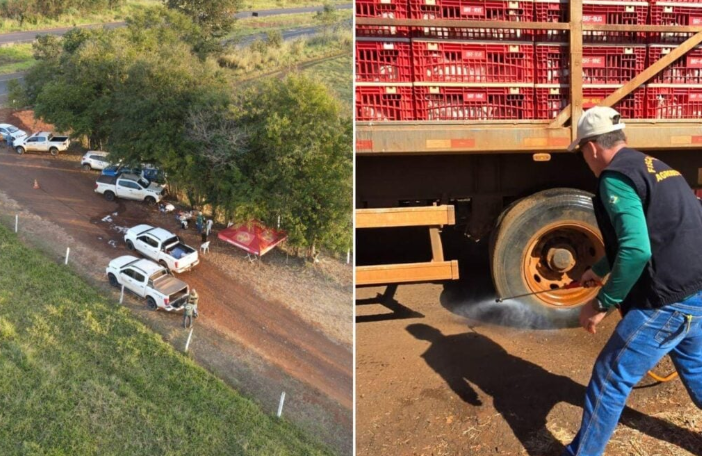 Fazenda com mais de 100 aves mortas por gripe aviária é embargada no interior de Goiás
