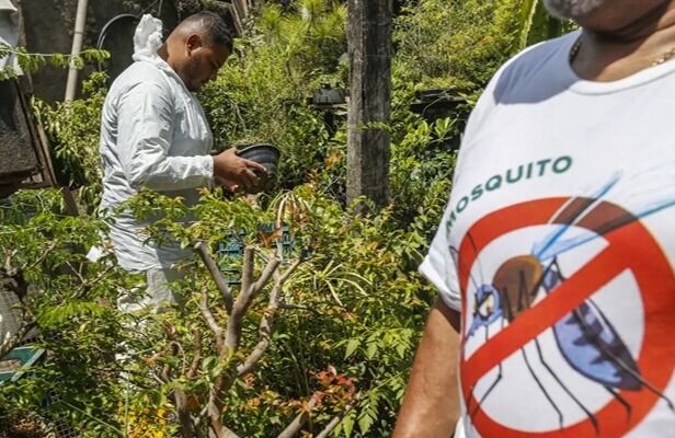 Brasil concentra quase 70% dos casos de dengue da América Latina